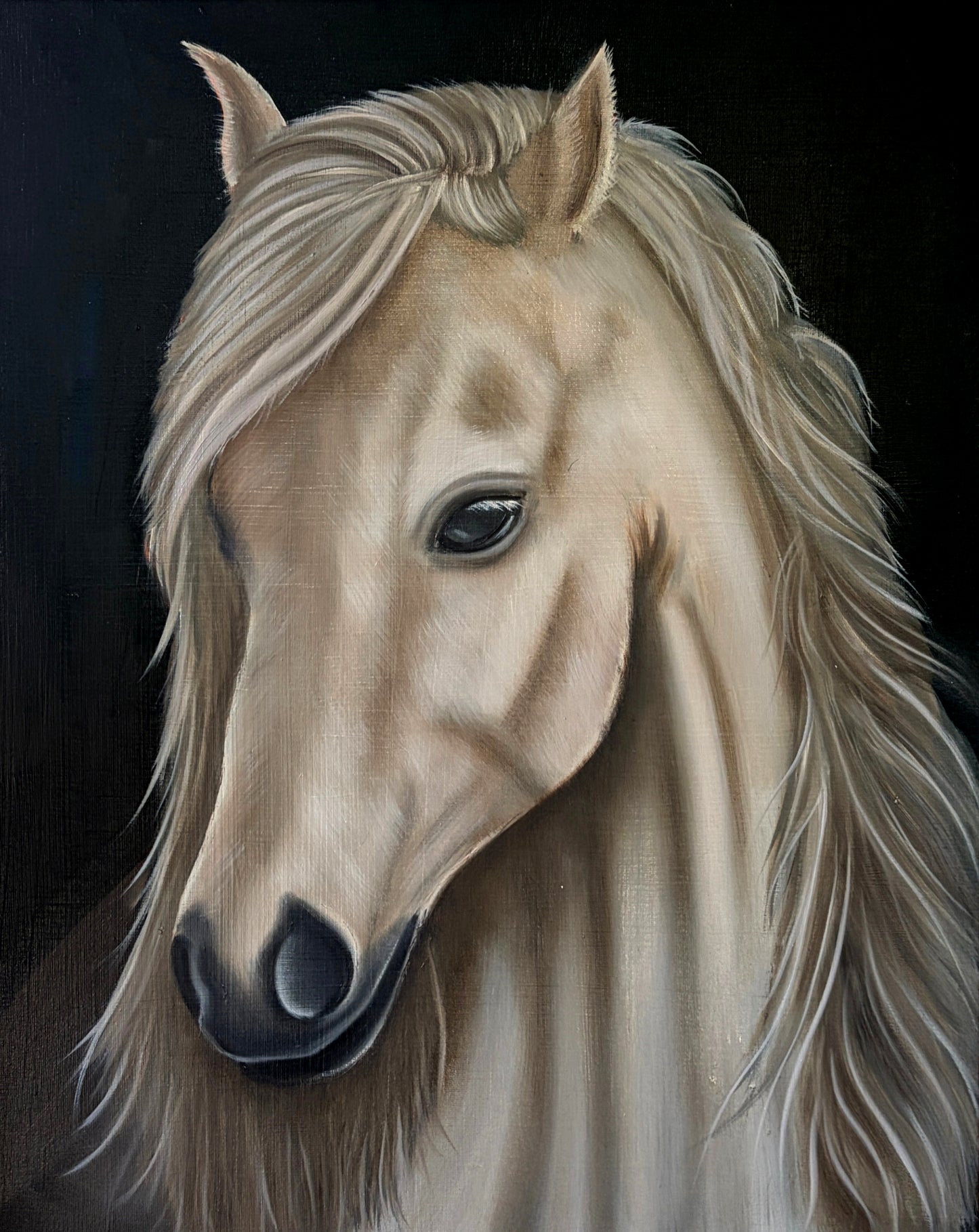 "Shadowfax" Print