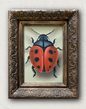 Lady [framed]